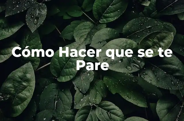 Cómo Hacer que Se Te Pare 2 Cómo Hacer que se te Pare