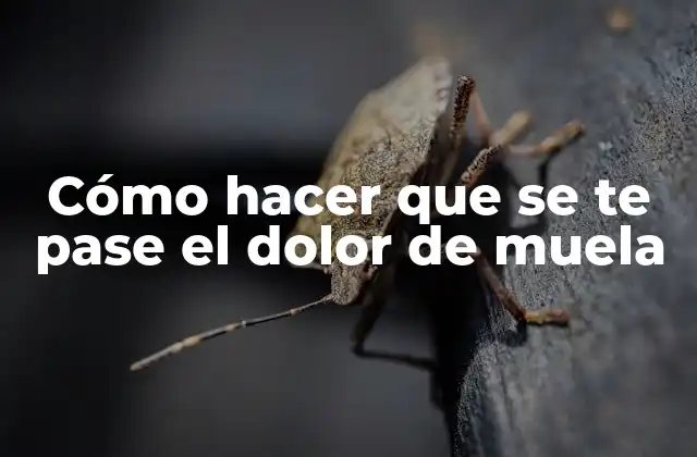 Cómo Hacer que Se Te Pase el Dolor de Muela 2 ¿Qué es el dolor de muela y cómo se produce?