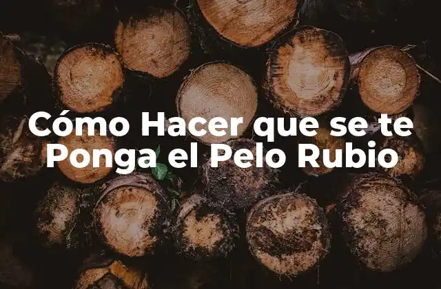 ¿Qué es el Teñido de Pelo Rubio y para Qué Sirve?