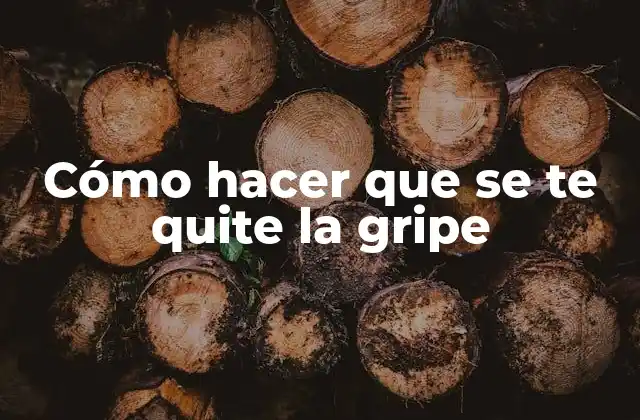 Cómo Hacer que Se Te Quite la Gripe
