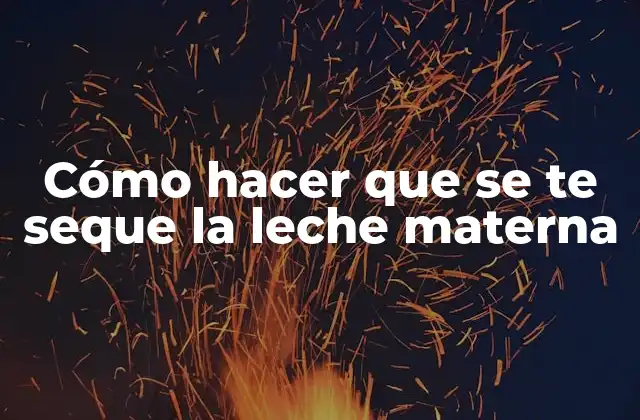 Cómo Hacer que Se Te Seque la Leche Materna