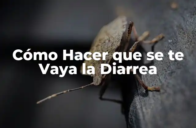 Cómo Hacer que Se Te Vaya la Diarrea