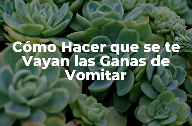 Cómo Hacer que Se Te Vayan las Ganas de Vomitar