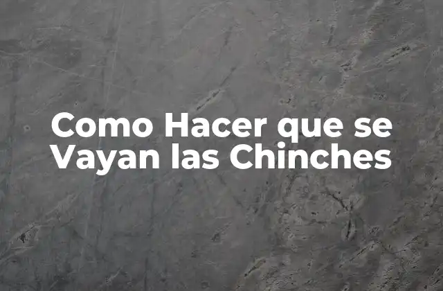 Como Hacer que Se Vayan las Chinches