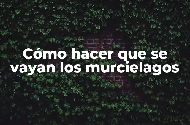 Cómo hacer que se vayan los murcielagos