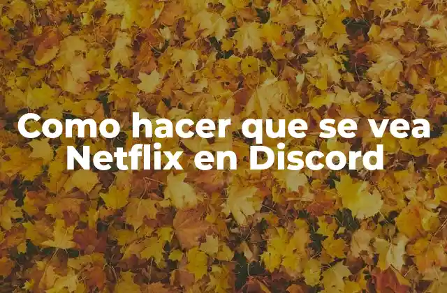 Como Hacer que Se Vea Netflix en Discord
