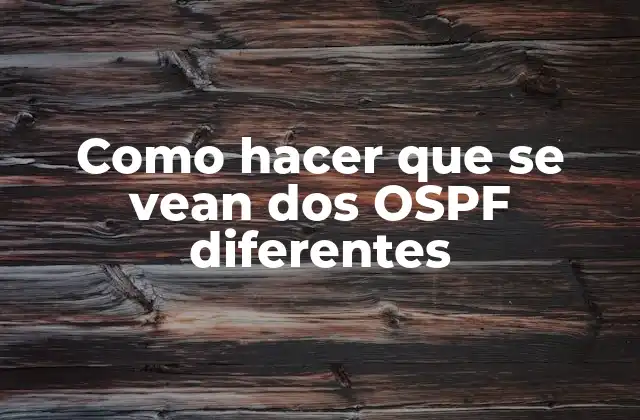 Como Hacer que Se Vean Dos Ospf Diferentes