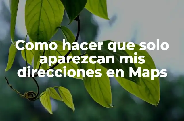 Como Hacer que Solo Aparezcan Mis Direcciones en Maps 2 ¿Qué es Google Maps y cómo funciona?