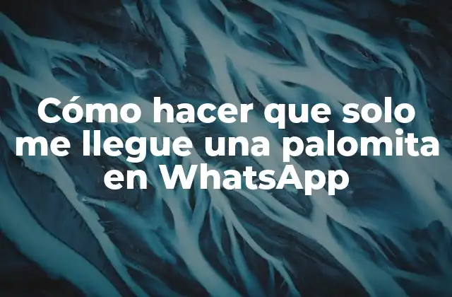 Cómo Hacer que Solo Me Llegue una Palomita en Whatsapp