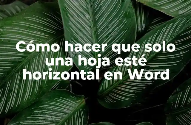 Cómo Hacer que Solo una Hoja Esté Horizontal en Word