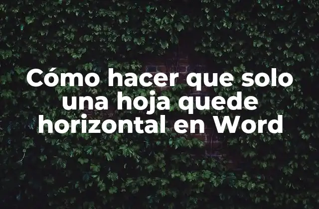 Cómo Hacer que Solo una Hoja Quede Horizontal en Word