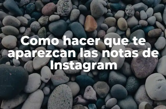 ¿Qué son las notas de Instagram?