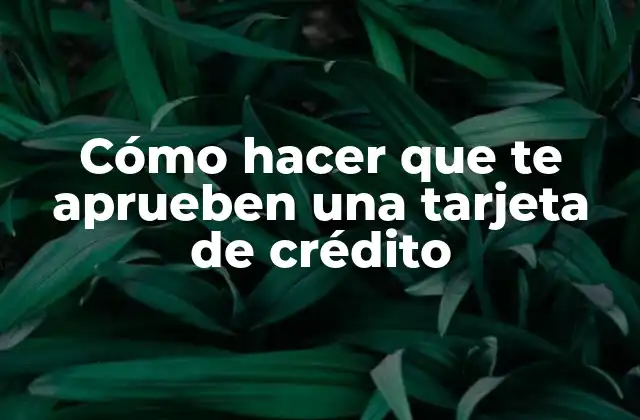 Qué es una tarjeta de crédito y cómo funciona