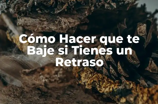 Cómo Hacer que Te Baje Si Tienes un Retraso