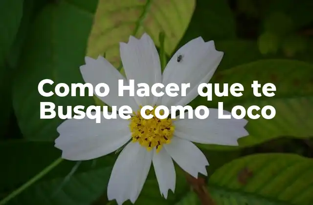 Como Hacer que Te Busque como Loco