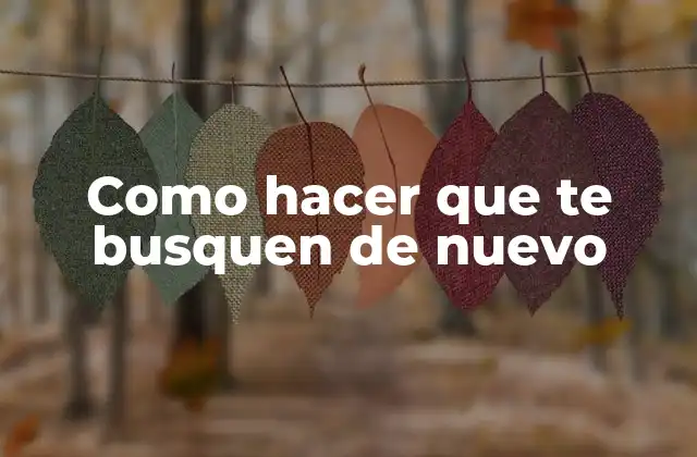 Como Hacer que Te Busquen de Nuevo 2 Como hacer que te busquen de nuevo - Entendiendo el concepto