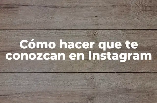 Cómo Hacer que Te Conozcan en Instagram