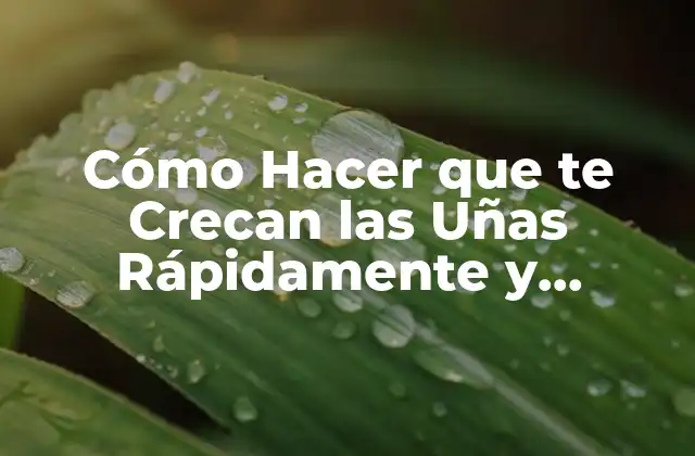 Cómo Hacer que Te Crecan las Uñas Rápidamente y Saludables