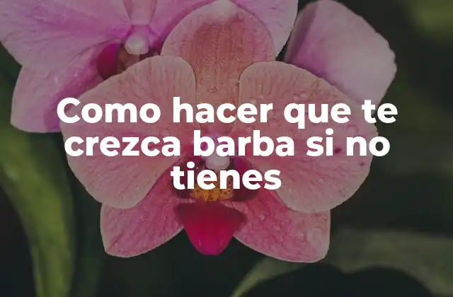 Como Hacer que Te Crezca Barba Si No Tienes