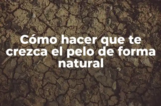 Cómo Hacer que Te Crezca el Pelo de Forma Natural 2 Cómo hacer que te crezca el pelo de forma natural
