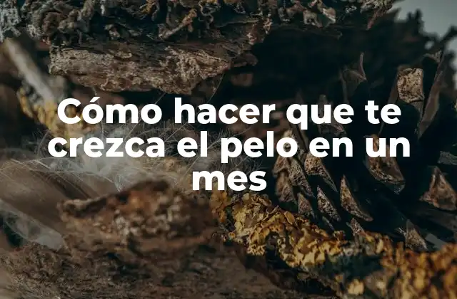 Cómo Hacer que Te Crezca el Pelo en un Mes