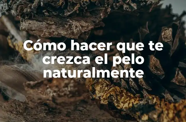 Cómo Hacer que Te Crezca el Pelo Naturalmente