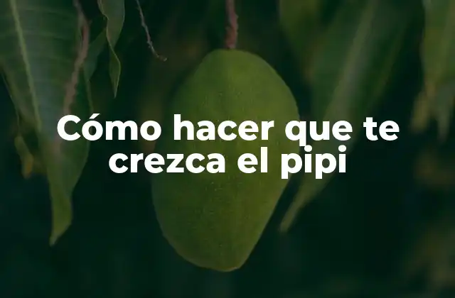 Cómo Hacer que Te Crezca el Pipi 2 Cómo hacer que te crezca el pipi