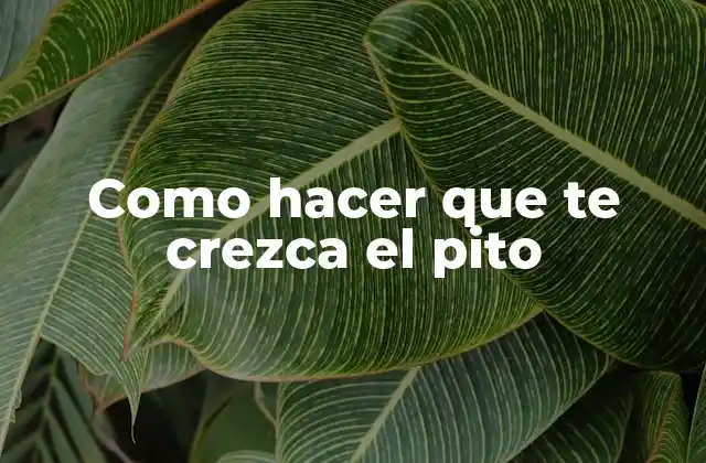 Como Hacer que Te Crezca el Pito