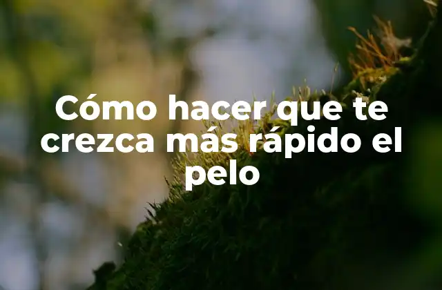 Cómo Hacer que Te Crezca Más Rápido el Pelo