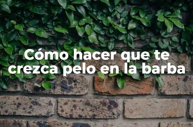 Cómo Hacer que Te Crezca Pelo en la Barba