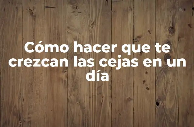 Cómo Hacer que Te Crezcan las Cejas en un Día