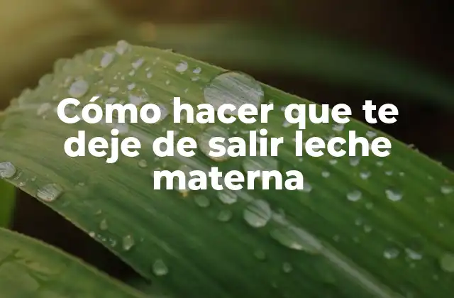 Cómo Hacer que Te Deje de Salir Leche Materna