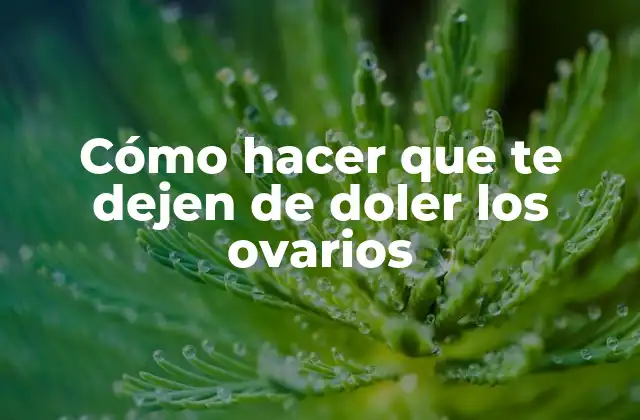 Cómo Hacer que Te Dejen de Doler los Ovarios