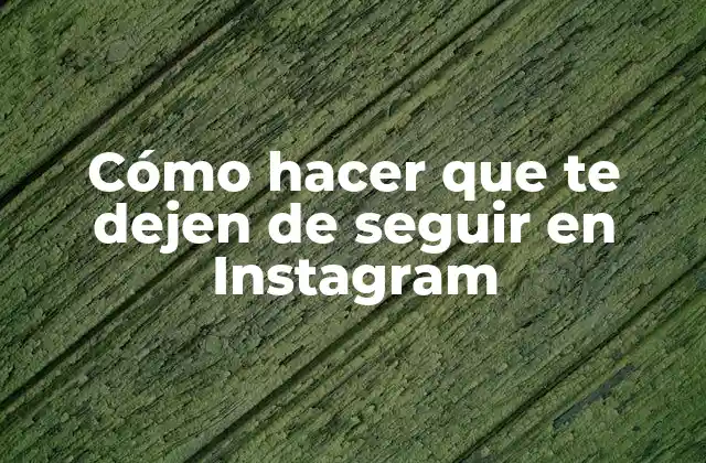 Cómo Hacer que Te Dejen de Seguir en Instagram