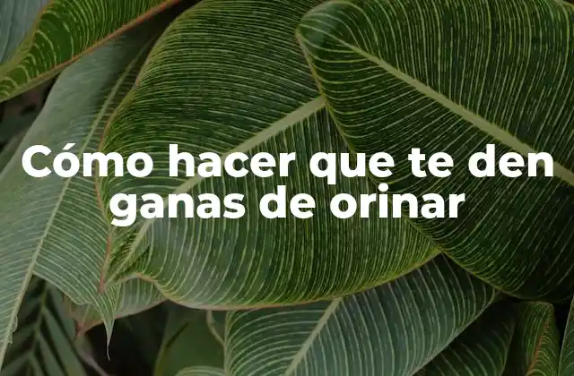 Cómo Hacer que Te Den Ganas de Orinar 2 Cómo hacer que te den ganas de orinar