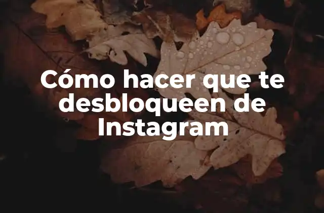 Cómo Hacer que Te Desbloqueen de Instagram 2 ¿Qué es el bloqueo en Instagram y cómo funciona?