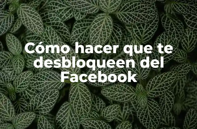Cómo Hacer que Te Desbloqueen Del Facebook