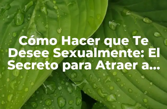 Cómo Hacer que Te Desee Sexualmente: el Secreto para Atraer a Tu Pareja