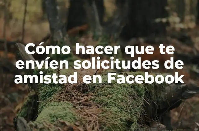 Cómo Hacer que Te Envíen Solicitudes de Amistad en Facebook