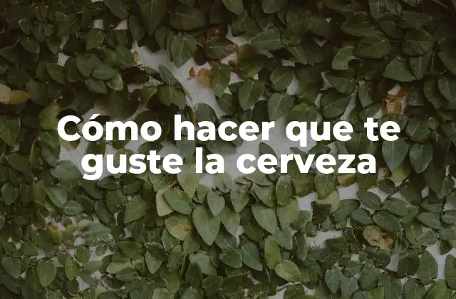 Cómo Hacer que Te Guste la Cerveza 2 Cómo hacer que te guste la cerveza