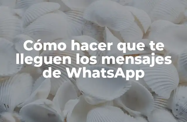 Cómo Hacer que Te Lleguen los Mensajes de Whatsapp