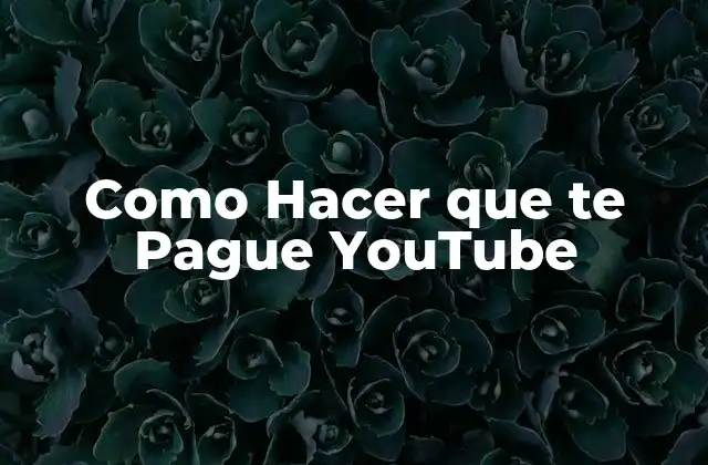 Como Hacer que Te Pague Youtube