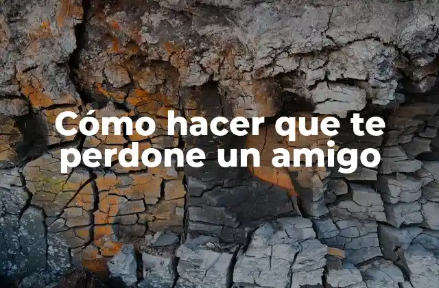 Cómo Hacer que Te Perdone un Amigo