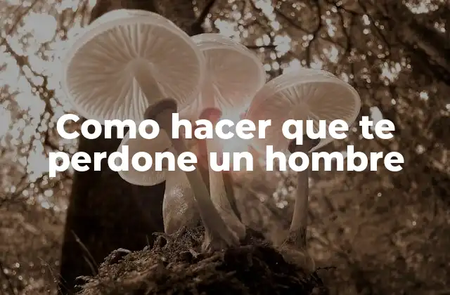Como hacer que te perdone un hombre