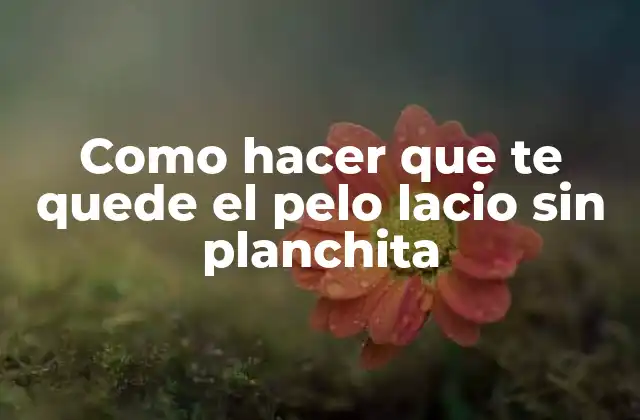 Como Hacer que Te Quede el Pelo Lacio sin Planchita 2 ¿Qué es un cabello lacio sin planchita?