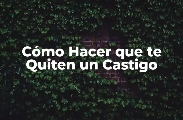Cómo Hacer que Te Quiten un Castigo