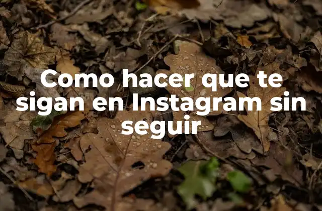 Como Hacer que Te Sigan en Instagram sin Seguir
