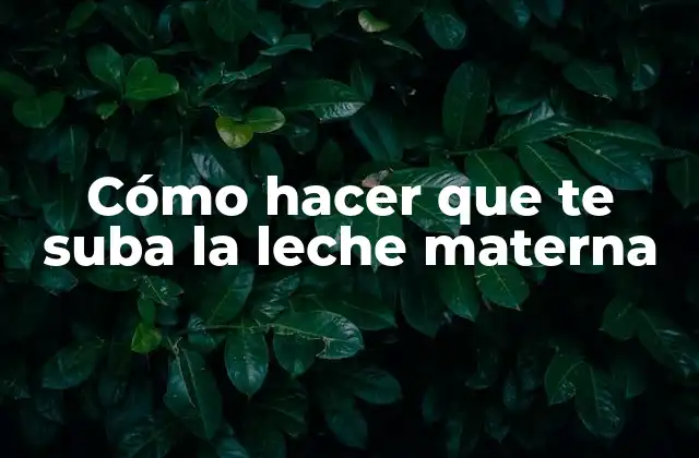 Cómo Hacer que Te Suba la Leche Materna