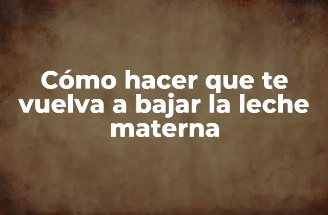 Cómo Hacer que Te Vuelva a Bajar la Leche Materna 2 ¿Qué es la leche materna y por qué es importante?