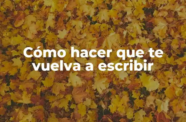 Cómo Hacer que Te Vuelva a Escribir